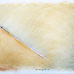 Pastel sec (70 x 100 cm) 2006