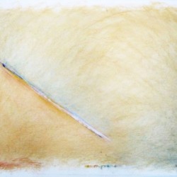 Pastel sec (70 x 100 cm) 2006